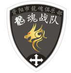 CS臂章