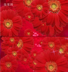 唯美葵花花飘炫彩高清视频背景