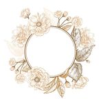花纹