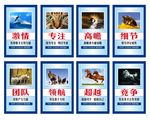 企业文化标语
