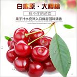 白鹿原大樱桃主图 直通车