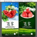 莲雾