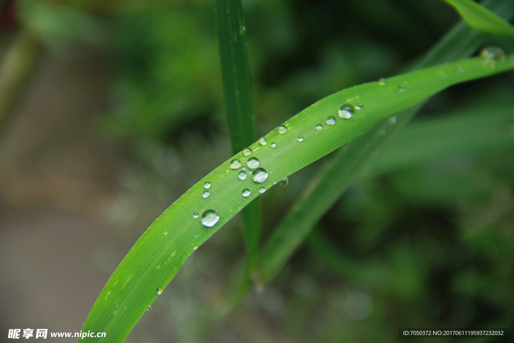 小雨滴