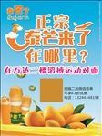 泰芒了