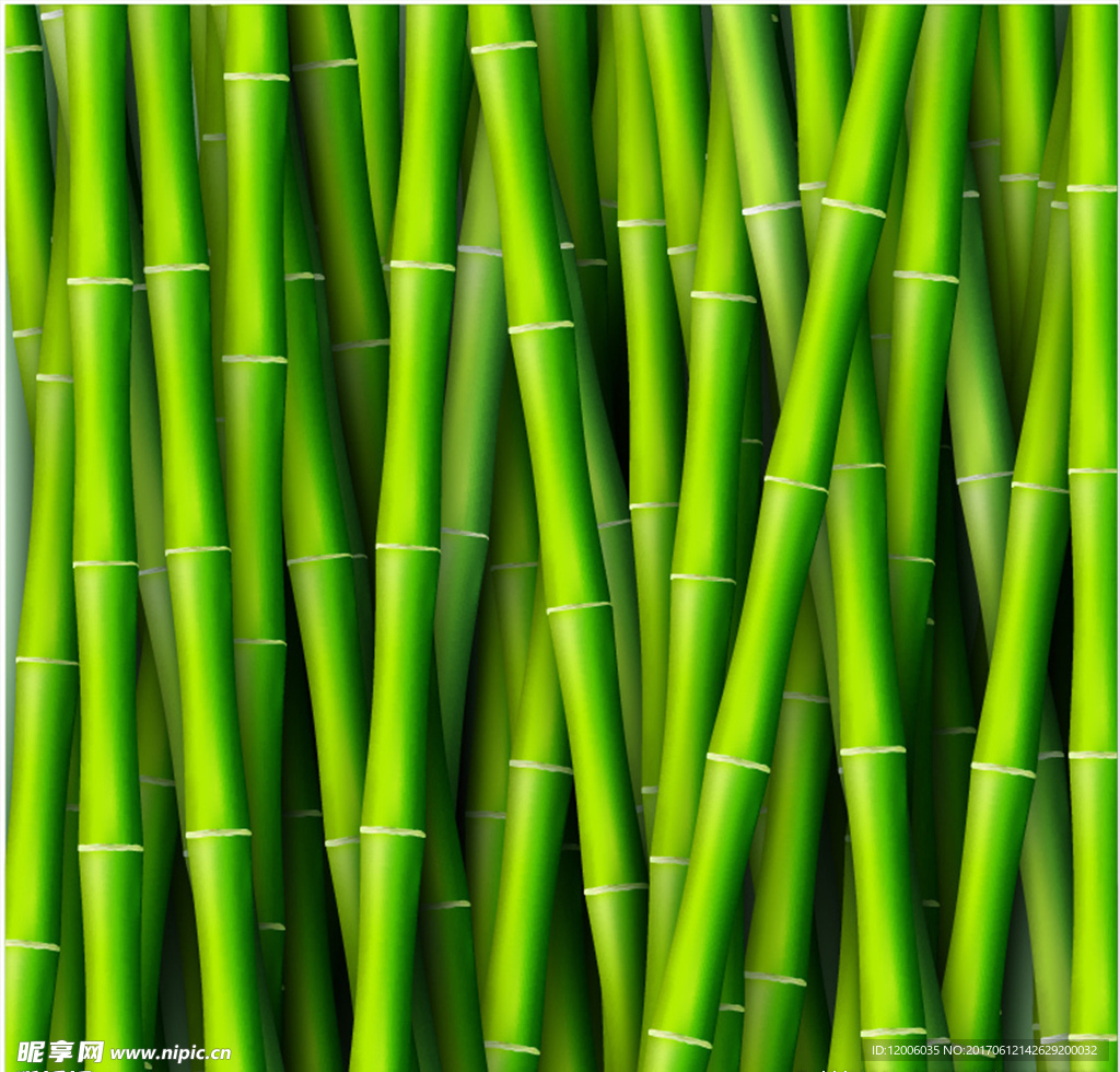 翠绿的竹子矢量素材