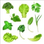 多款绿色蔬菜植物叶片矢量素材