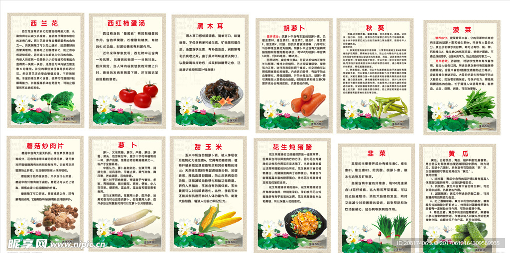 时蔬功效