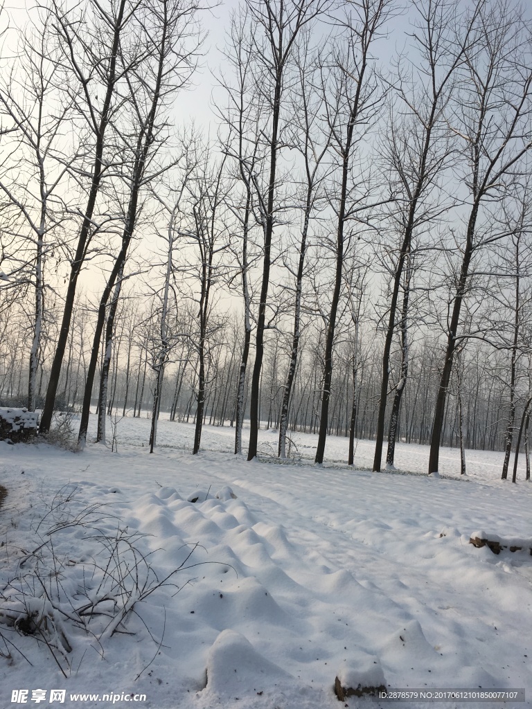 雪景