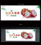 火龙果