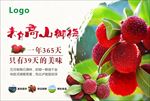 高山杨梅