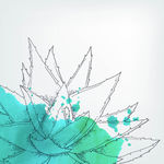 手绘水彩芦荟插图