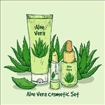 芦荟护肤品