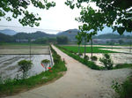 通组路