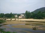 小桥