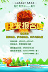 端午节活动海报
