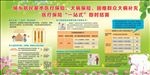 城乡居民医疗保险