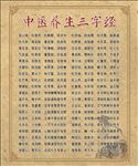 中医养生三字经