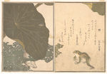 日本浮世绘 日本名画 浮世绘