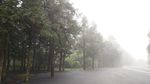 仙女山的早晨