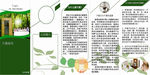绿色汗蒸介绍五折页（正面）