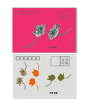 信封