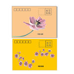 信封