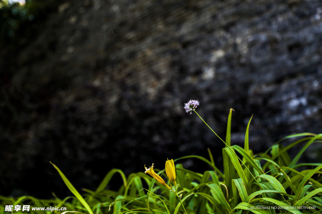 花