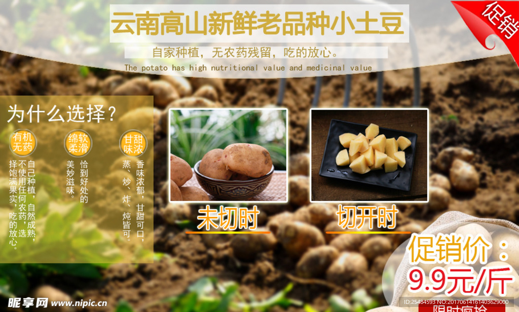 土豆促销海报