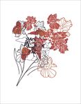 线描花朵花卉矢量图下载