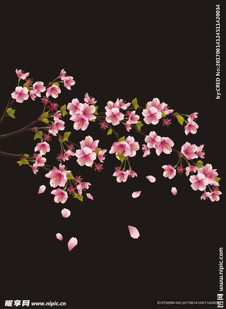 树枝花朵矢量图下载