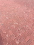 砖地 红砖