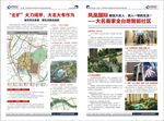 凤凰汇专刊