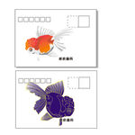 信封