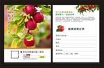 苹果卡片