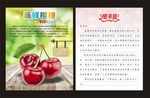 樱桃售后卡