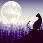 夜猫