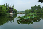 湖水图