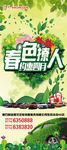 东风本田春季展架设计