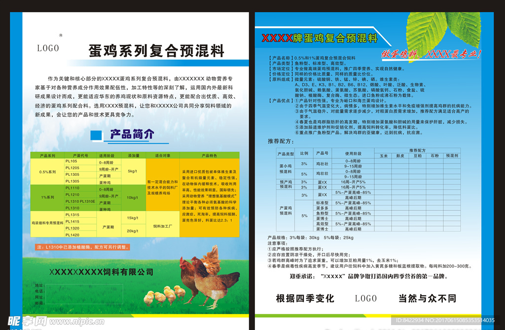 蛋鸡宣传彩页