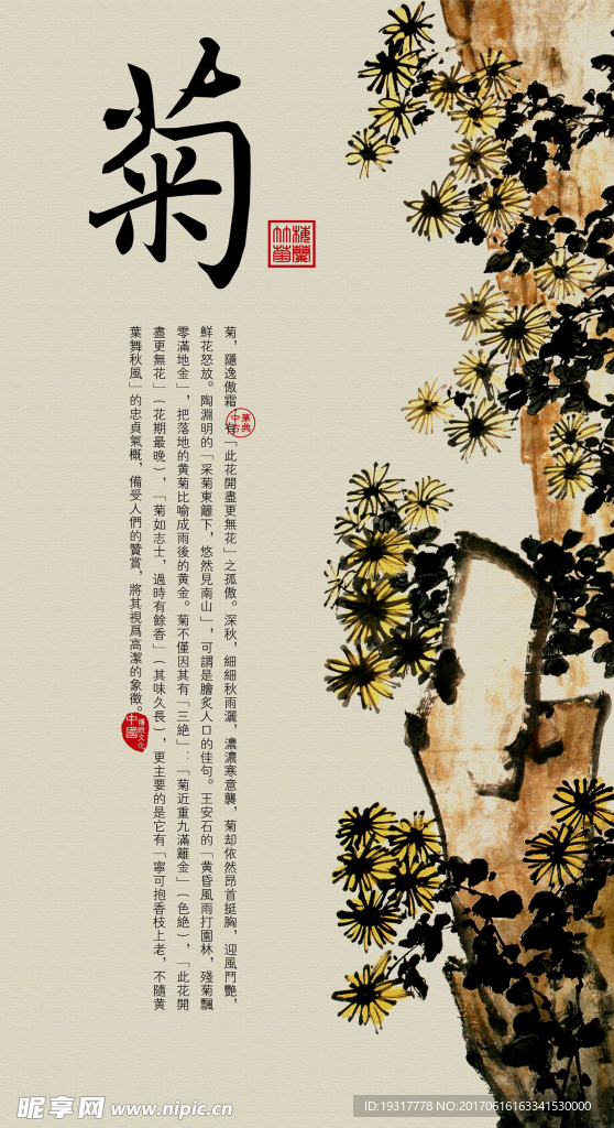 中国风 绘画装饰 菊花