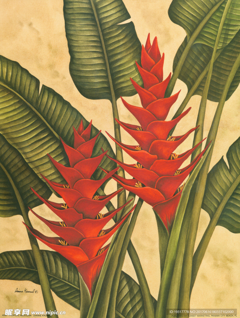 热带植物 绘画装饰