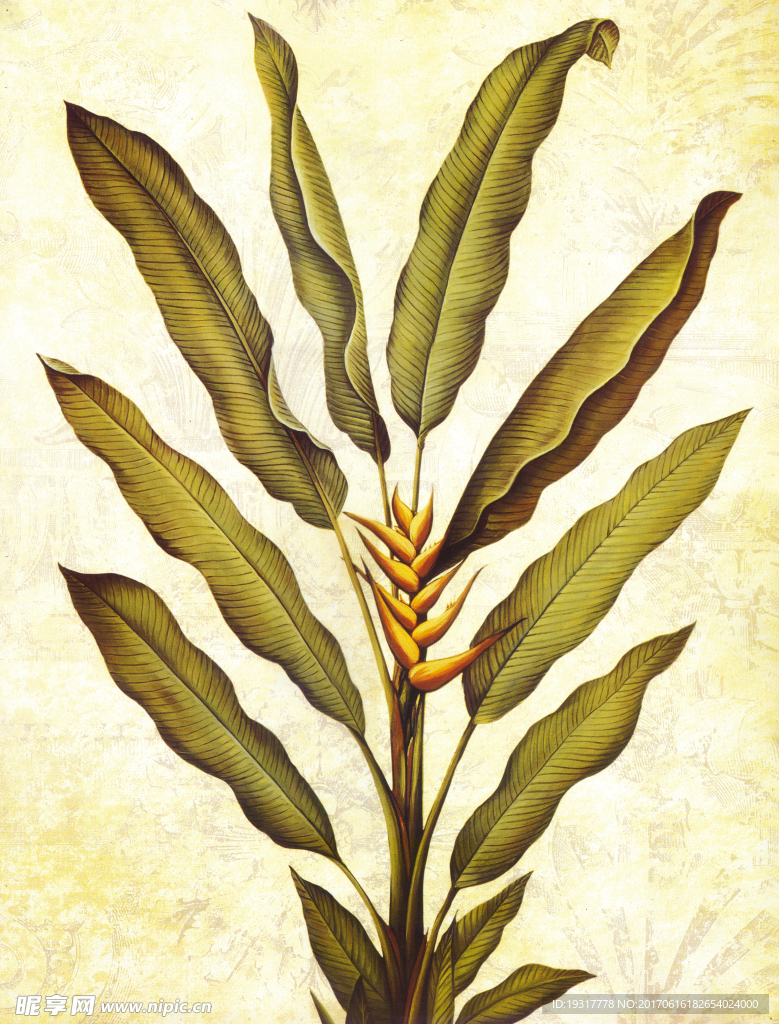 欧美复古植物 装饰画
