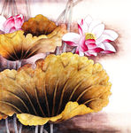 荷花 墙面背景画