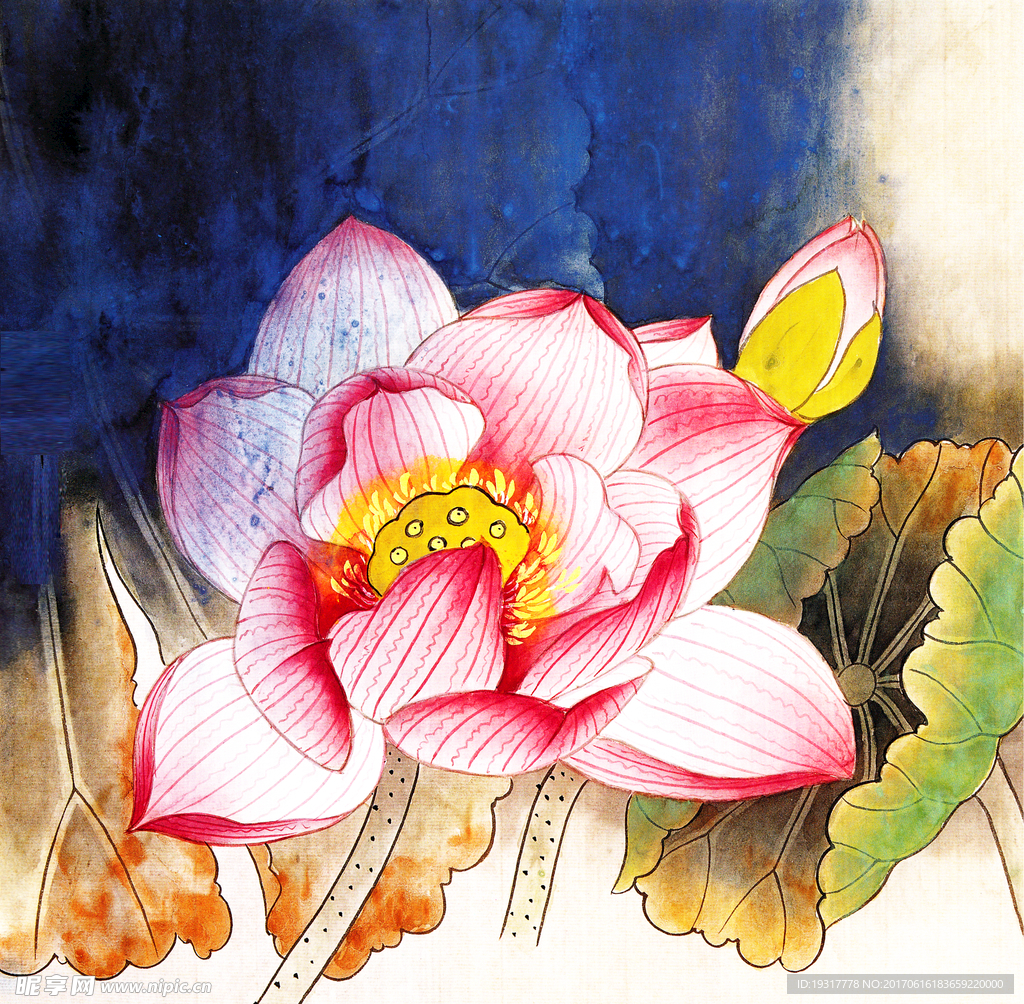 荷花 装饰绘画