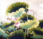 荷花 无框画