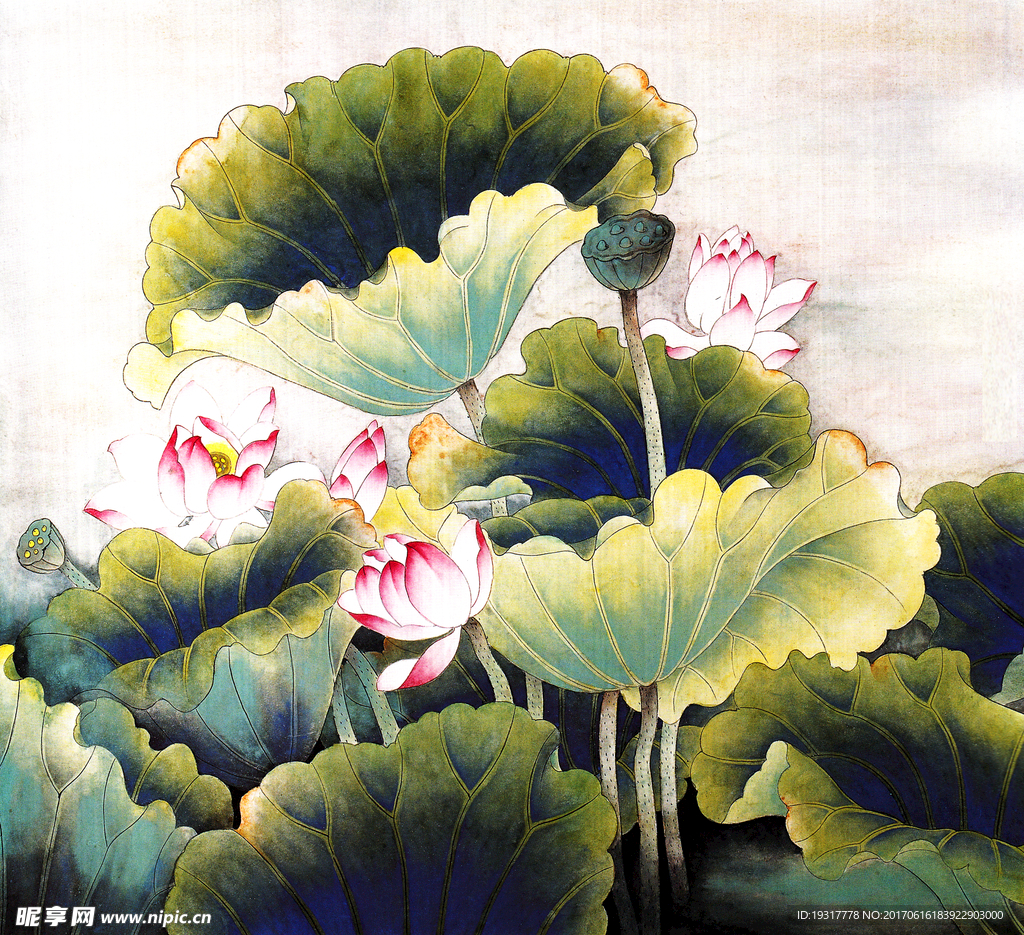 荷花 无框画