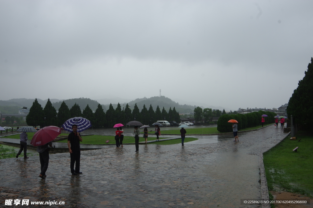 雨天游客