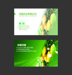 农业名片 简约名片 名片卡片