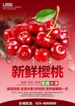 樱桃海报展板宣传海报