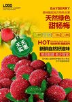 美味水果杨梅海报设计源文件